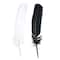 12 Packs: 20 ct. (240 total) Black & White Quill Feathers by Creatology™